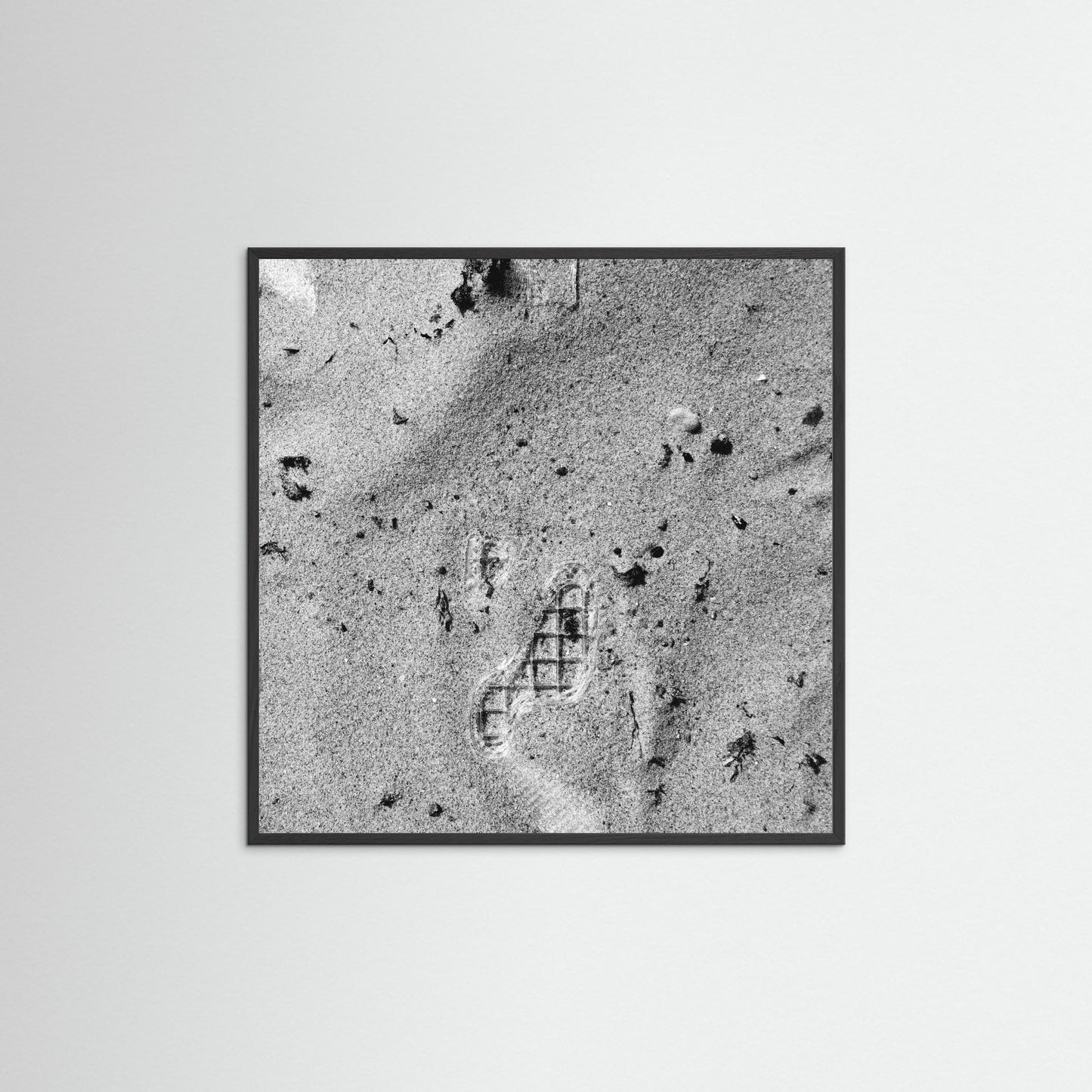 FunctionScanLandscape Aerial View 3