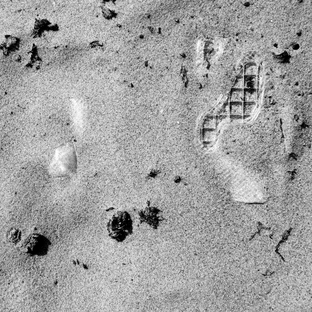 FunctionScanLandscape Aerial View 1