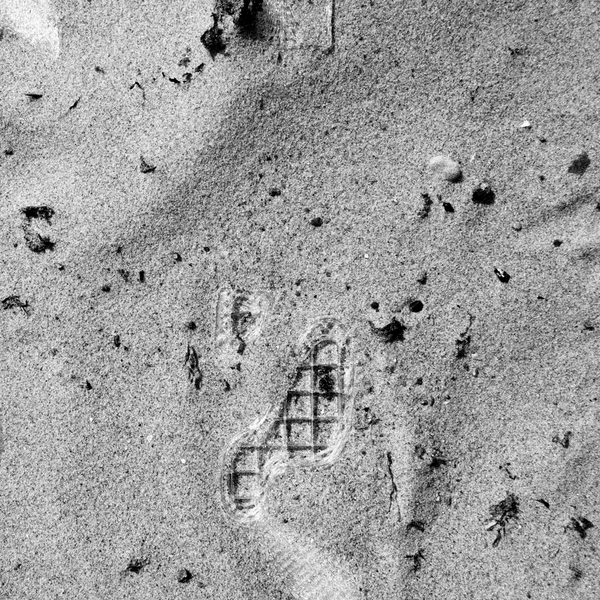 FunctionScanLandscape Aerial View 3