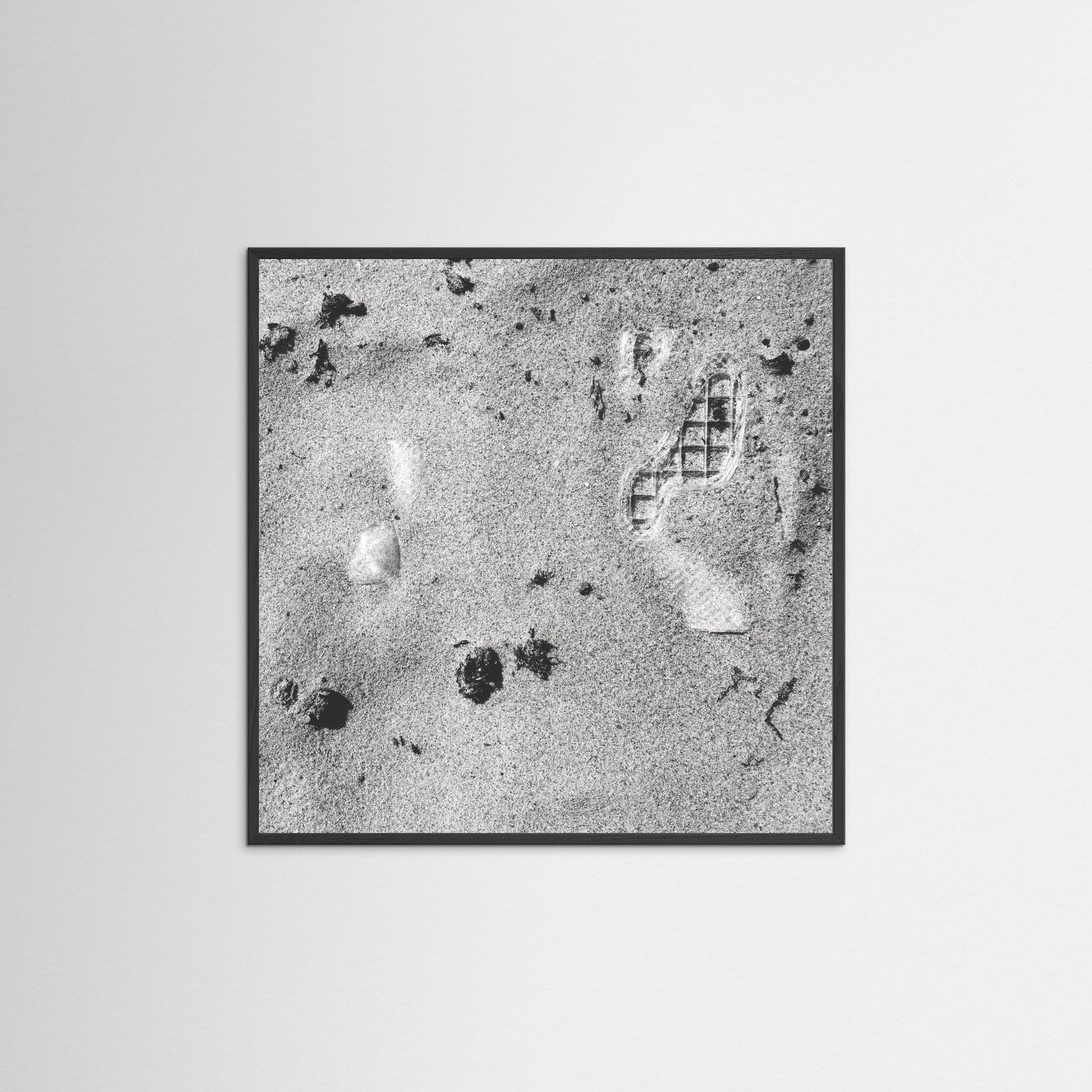 FunctionScanLandscape Aerial View 1