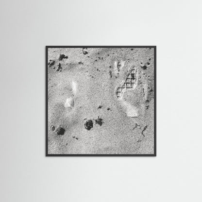 FunctionScanLandscape Aerial View 1